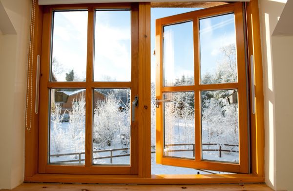 Double Window Replacement in Lewisville