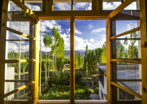 Wood Window Replacement in Lewisville