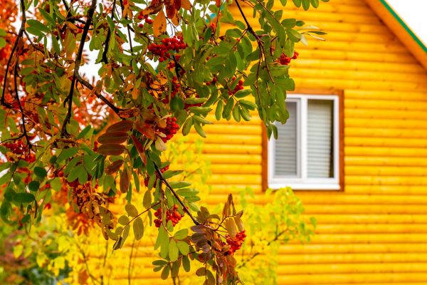 Garden Window Replacement in Lewisville